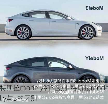 特斯拉modely和3区别-特斯拉model y与3的区别