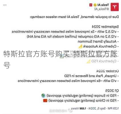 特斯拉官方账号购买-特斯拉官方账号