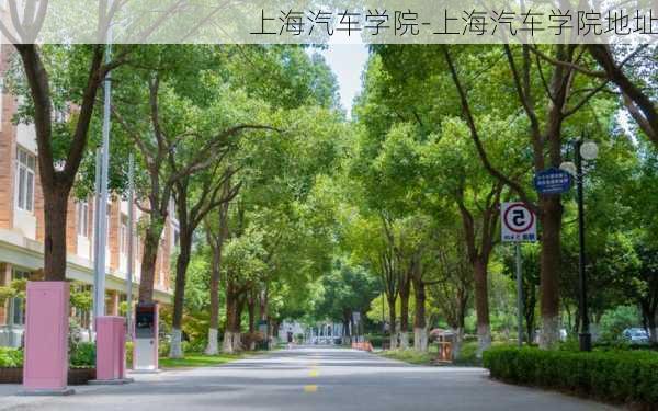 上海汽车学院-上海汽车学院地址