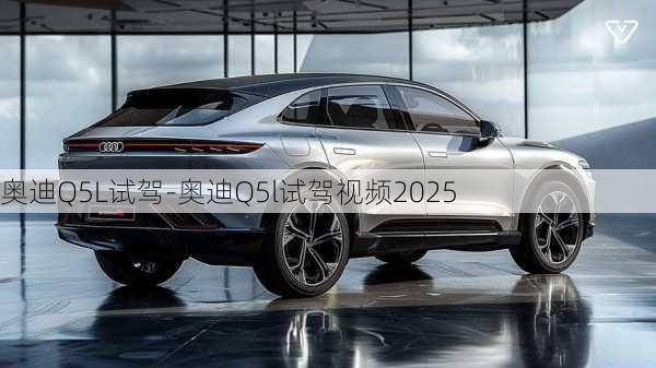 奥迪Q5L试驾-奥迪Q5l试驾视频2025