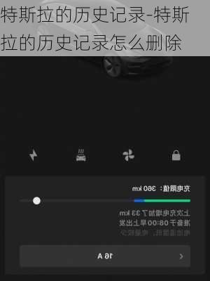 特斯拉的历史记录-特斯拉的历史记录怎么删除