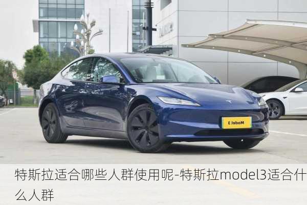 特斯拉适合哪些人群使用呢-特斯拉model3适合什么人群