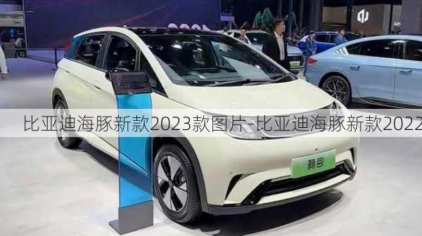 比亚迪海豚新款2023款图片-比亚迪海豚新款2022