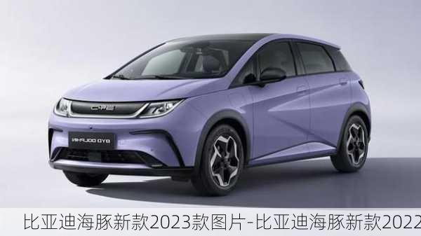 比亚迪海豚新款2023款图片-比亚迪海豚新款2022