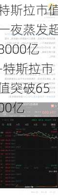 特斯拉市值一夜蒸发超8000亿-特斯拉市值突破6500亿