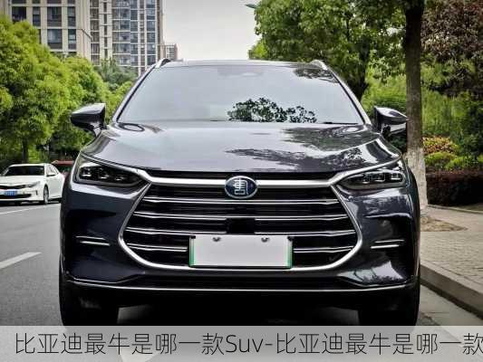 比亚迪最牛是哪一款Suv-比亚迪最牛是哪一款