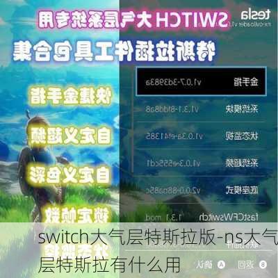 switch大气层特斯拉版-ns大气层特斯拉有什么用