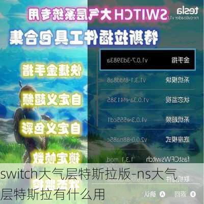 switch大气层特斯拉版-ns大气层特斯拉有什么用