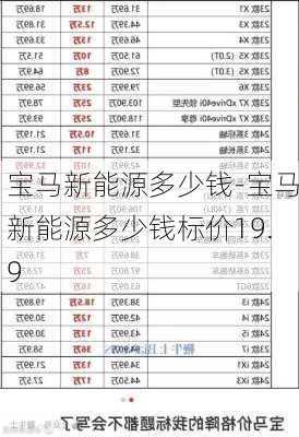 宝马新能源多少钱-宝马新能源多少钱标价19.9