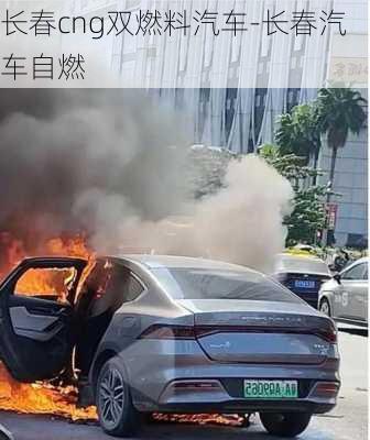 长春cng双燃料汽车-长春汽车自燃