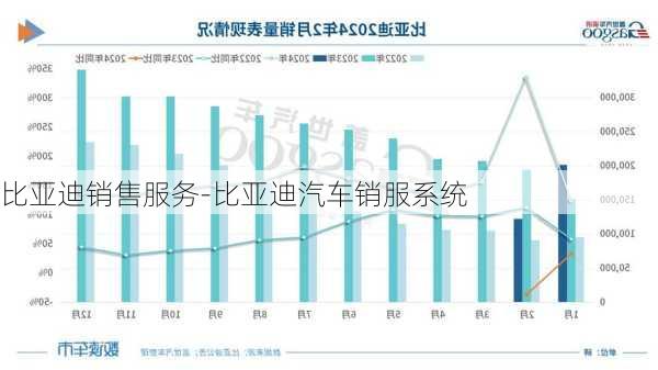 比亚迪销售服务-比亚迪汽车销服系统